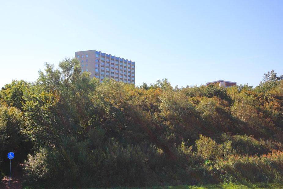 Photo of Others in Duhnen