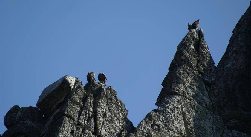 Photo of Others in Villarreal de San Carlos