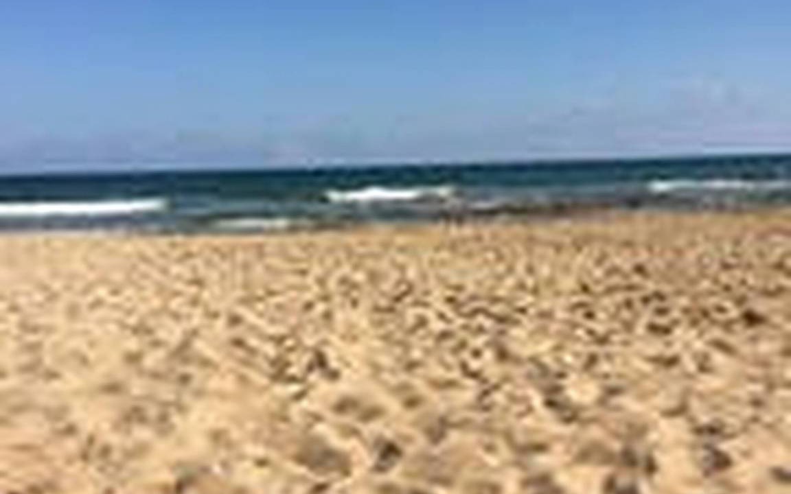 Photo of Others in La Mata