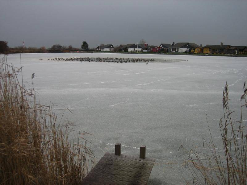 Photo of Others in Großwurden