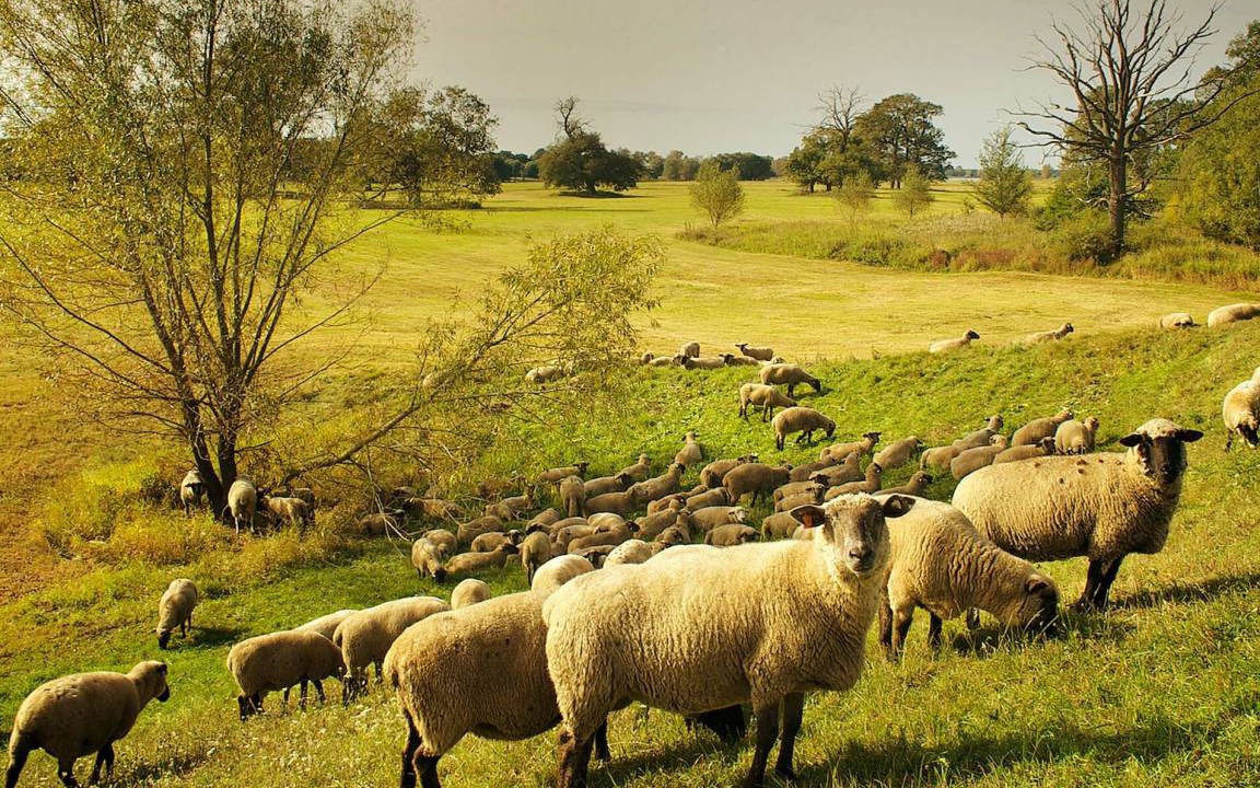 Photo of Others in Modlich