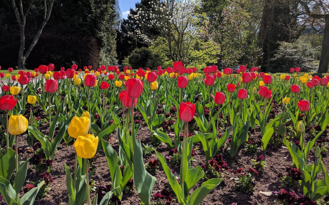 Photo of Outdoor in Westend
