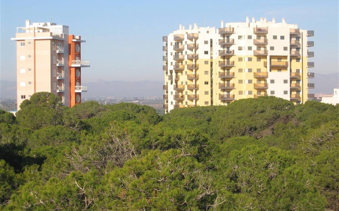 Photo of Others in Guardamar del Segura