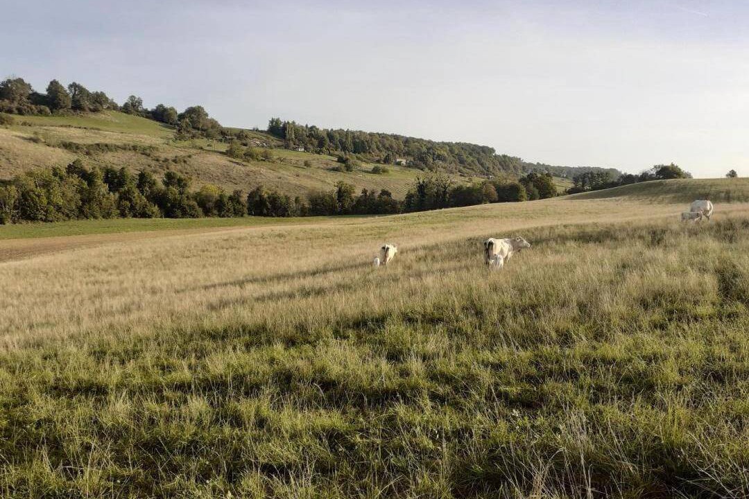 Photo of Others in Montrigaud
