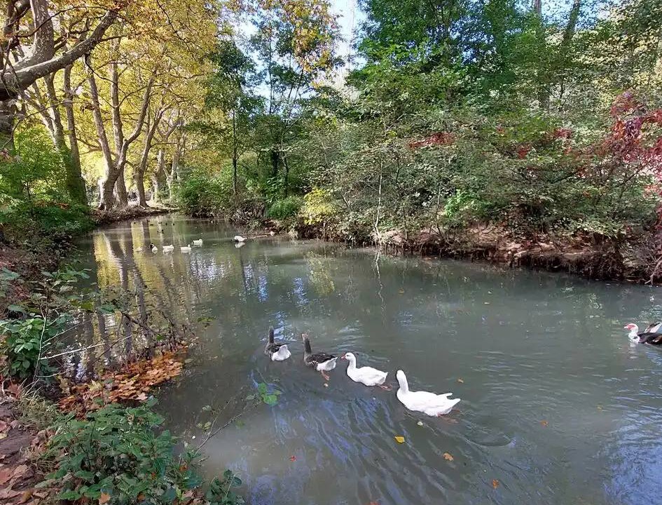 Photo of Others in Saint-Victor-des-Oules