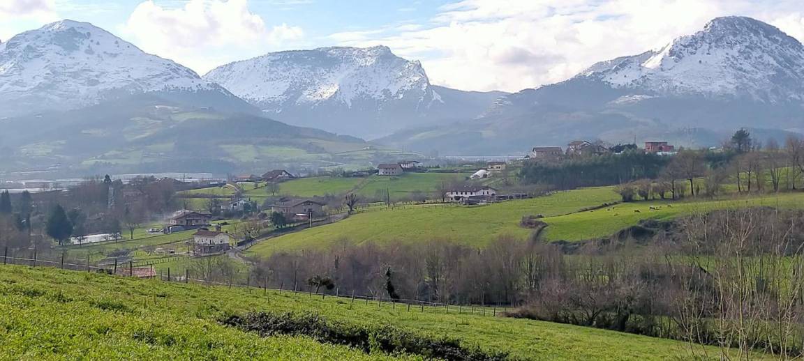 Photo of Others in Berriz