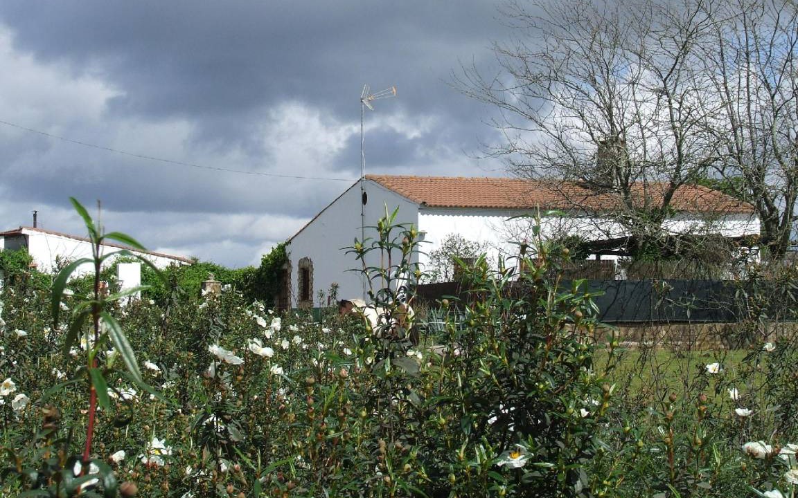 Photo of Others in Alcuescar