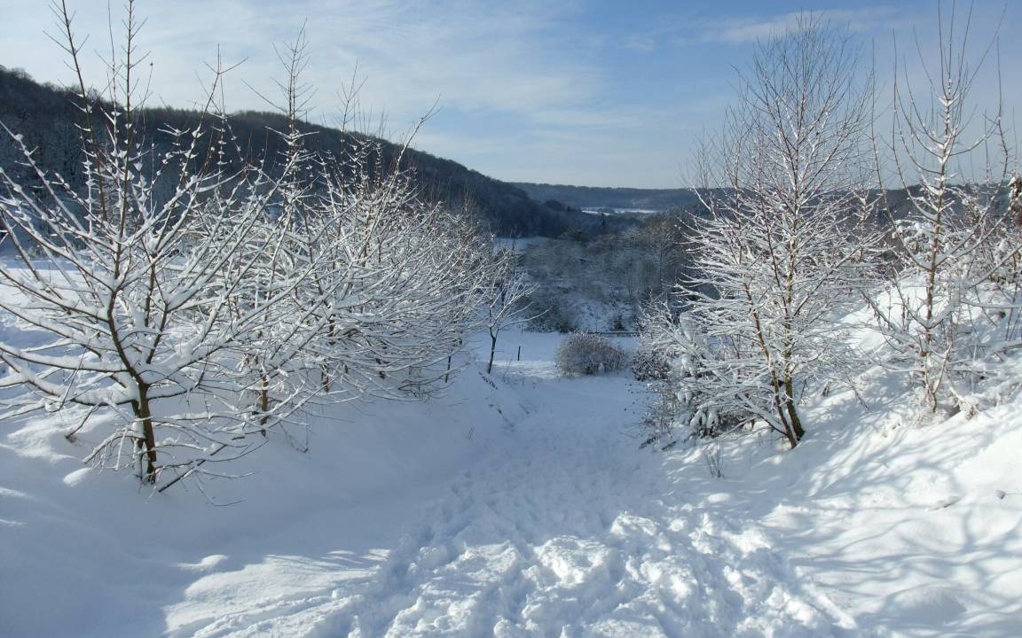 Photo of Others in Rissenthal