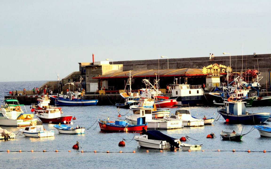 Photo of Others in Playa San Juan