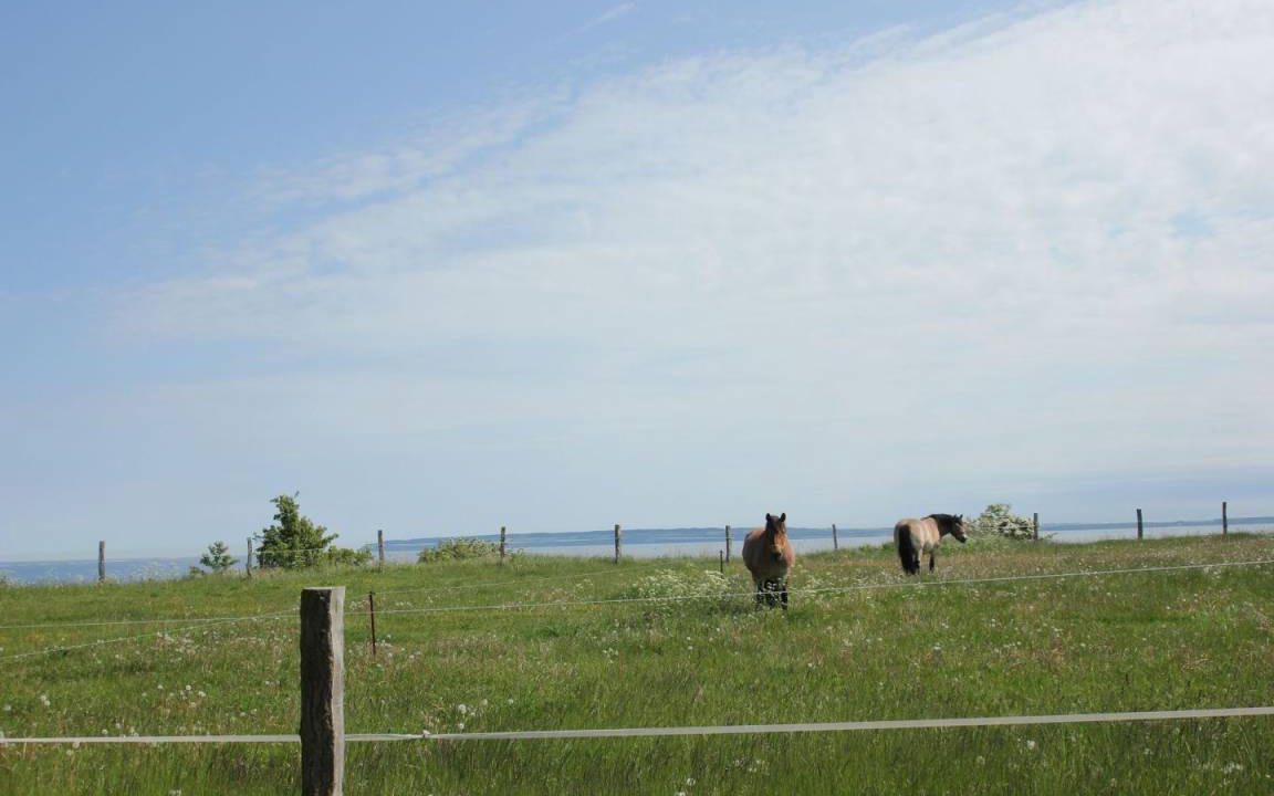 Photo of Others in Glowe