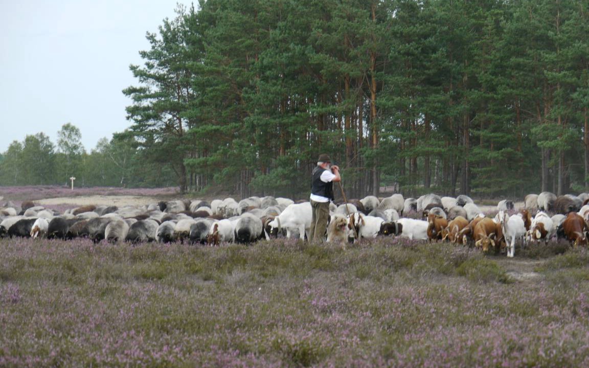 Photo of Others in Marleben