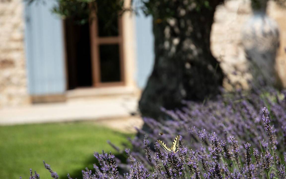 Photo of Others in Garrigues-Sainte-Eulalie