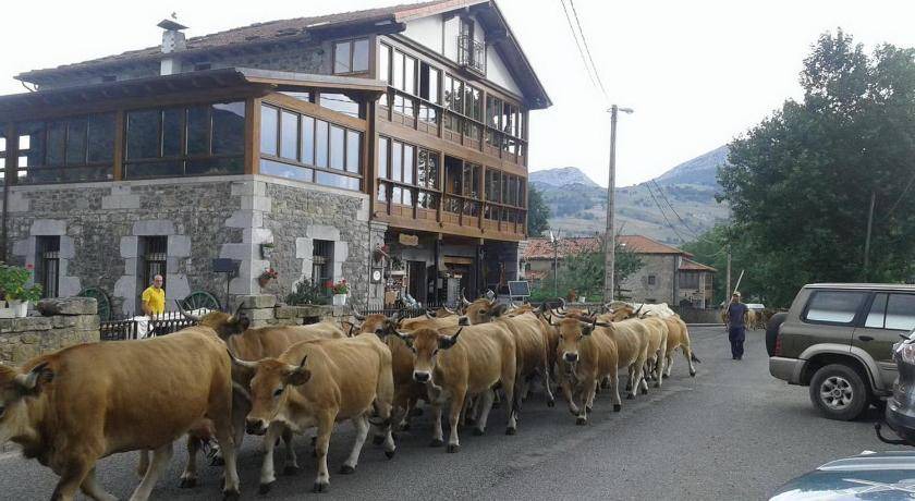 Photo of Others in La Gandara