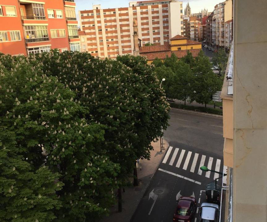 Photo of Others in Leon