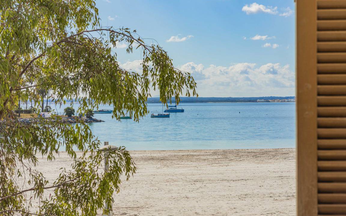 Photo of Others in Alcudia