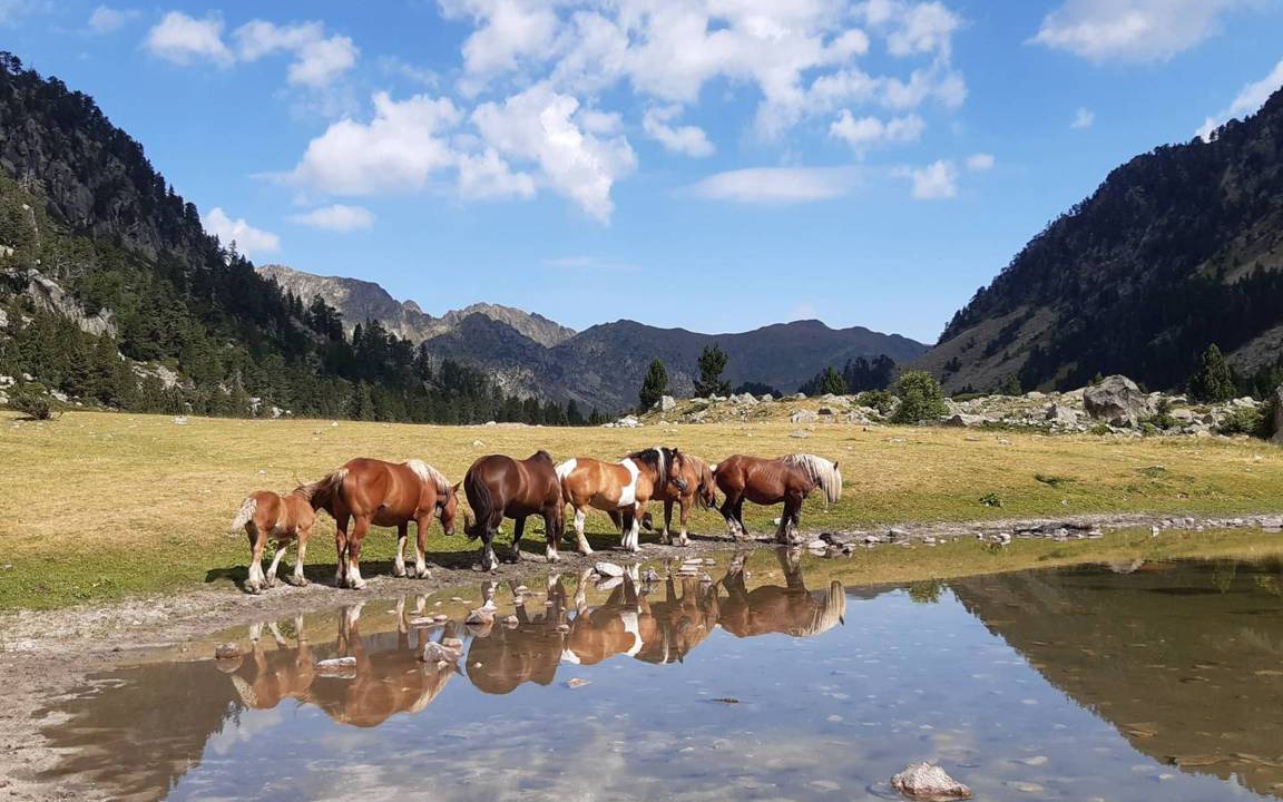 Photo of Others in Cauterets