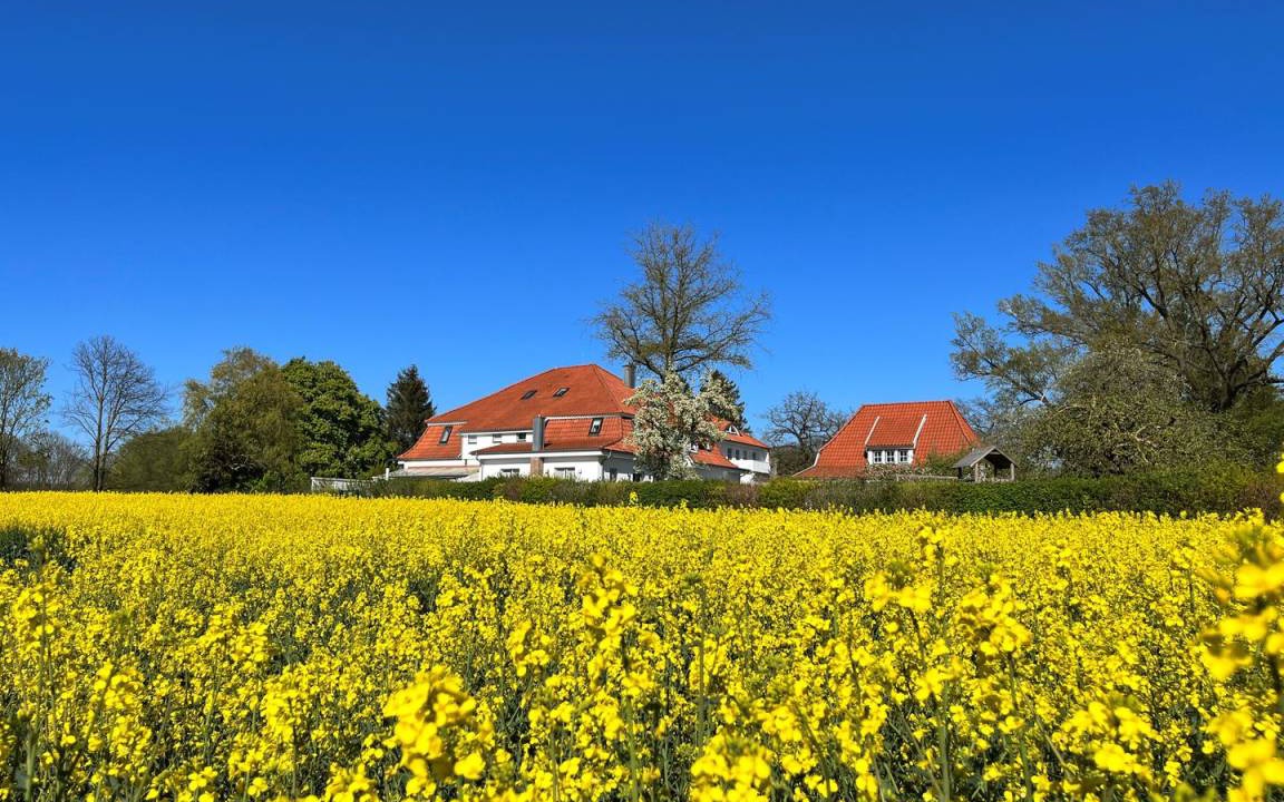 Photo of Others in Kalkhorst