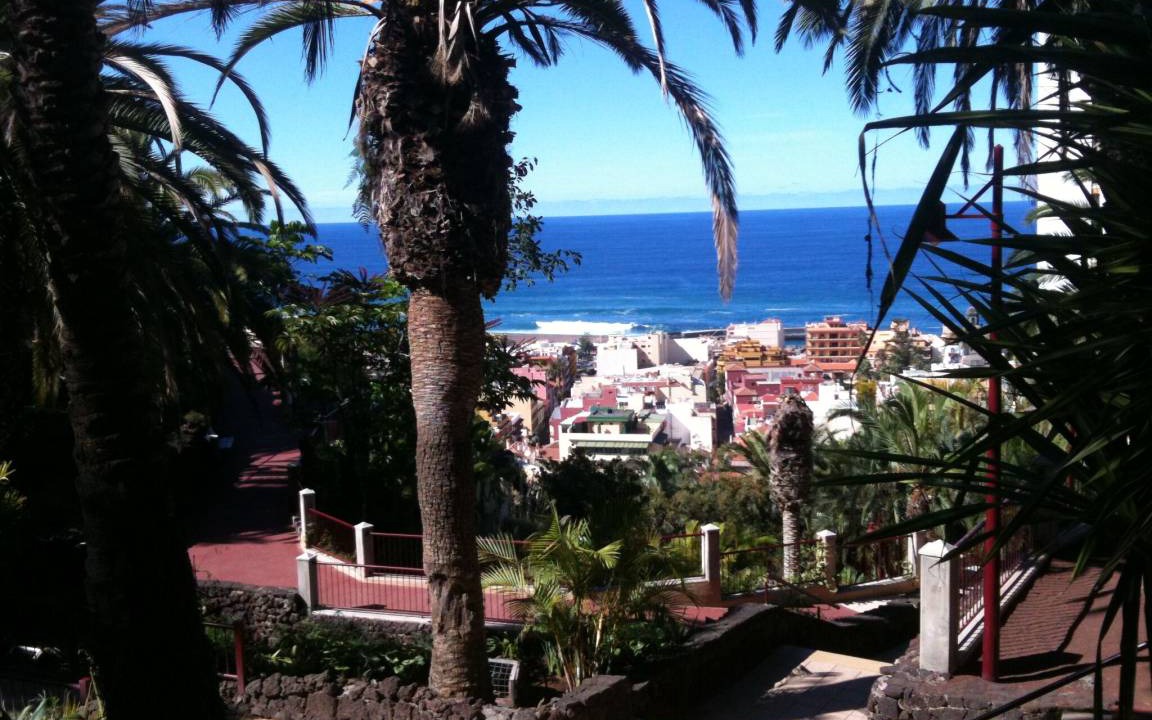 Photo of Others in Puerto de la Cruz