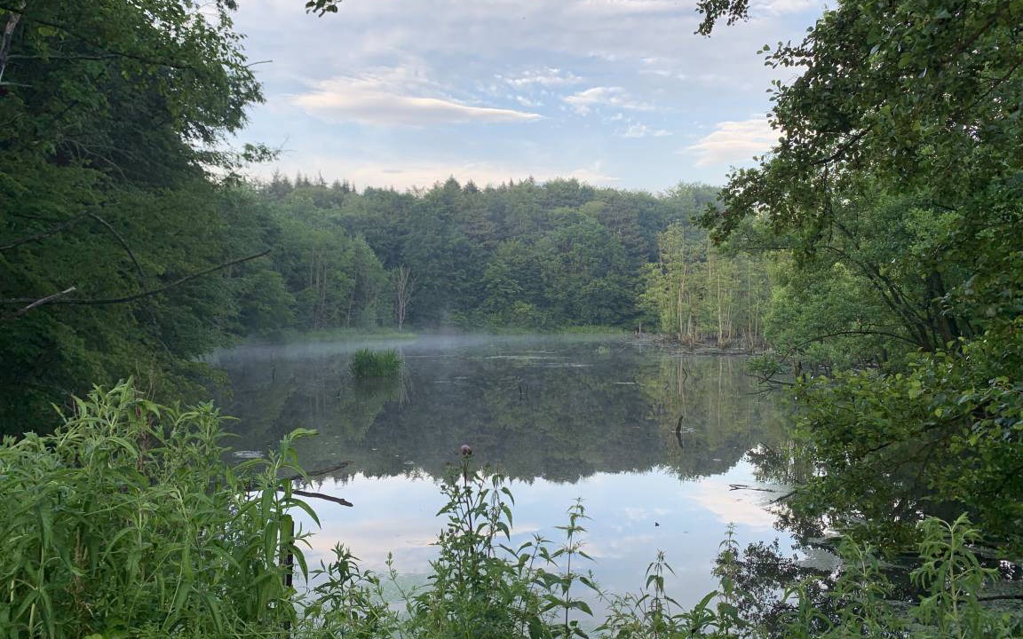 Photo of Others in Ponitz am See