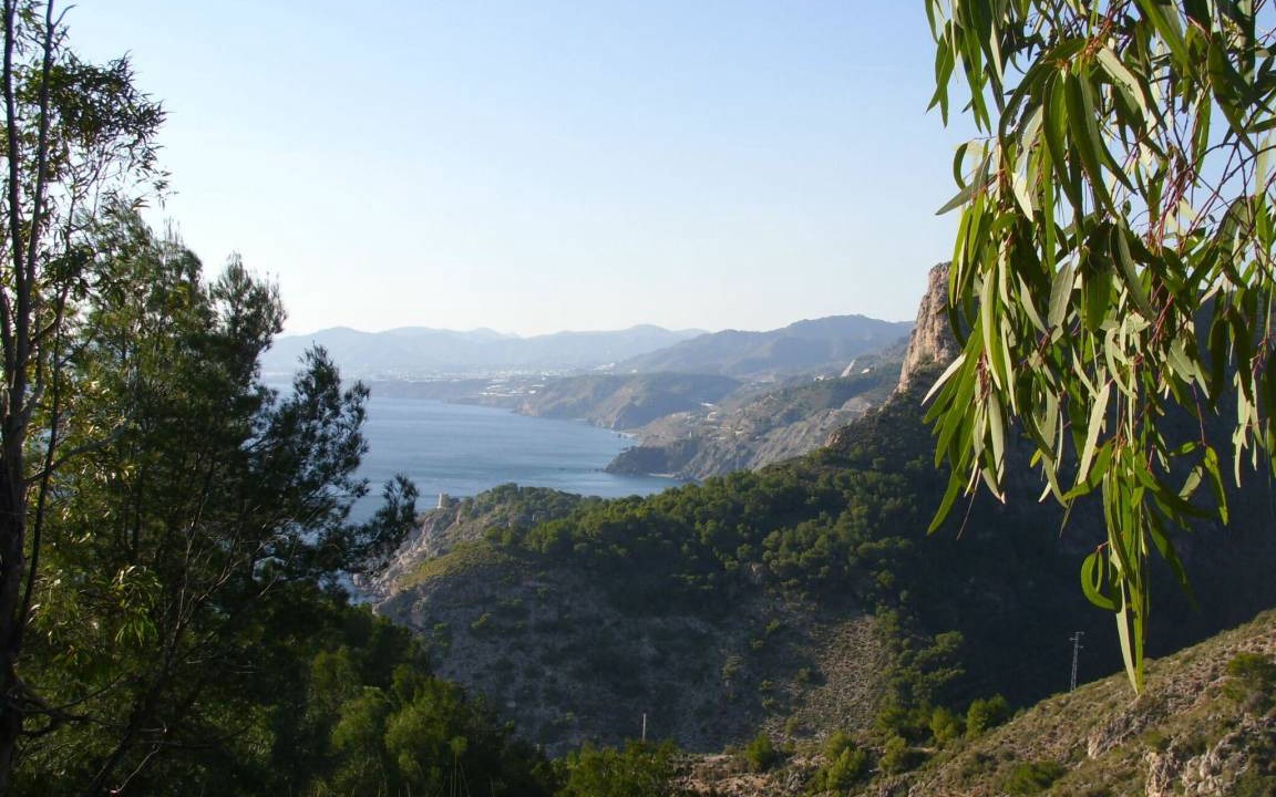 Photo of Others in Torrox Costa