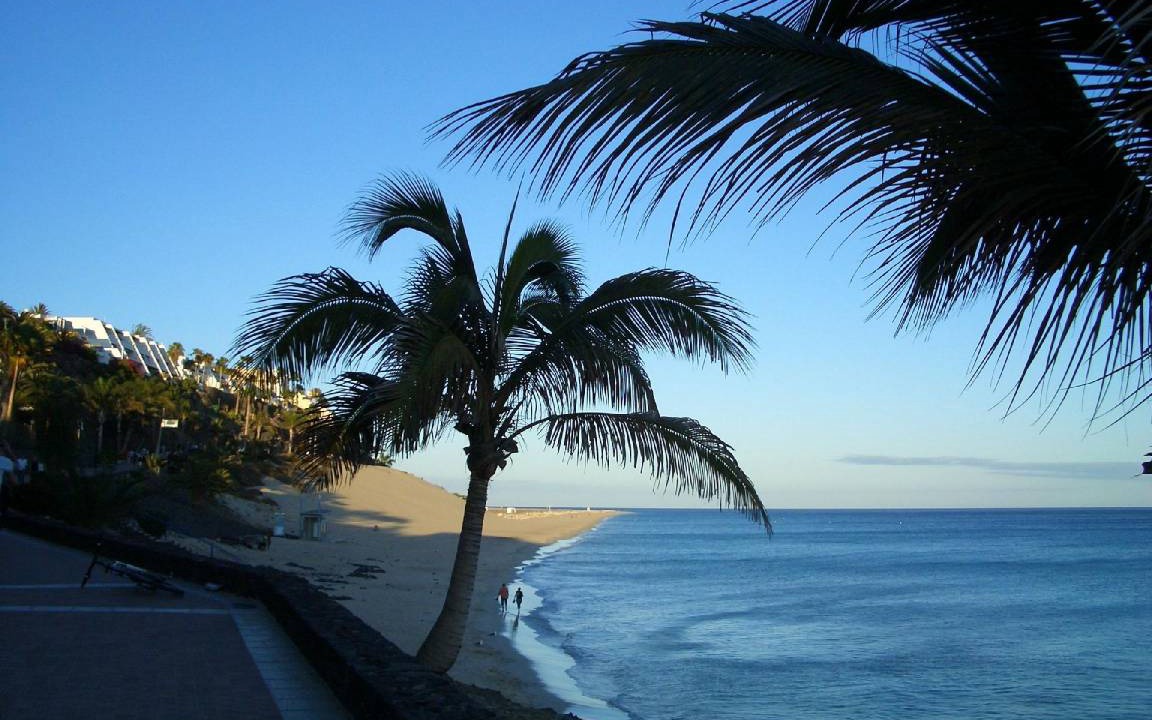 Photo of Others in Solana del Matorral