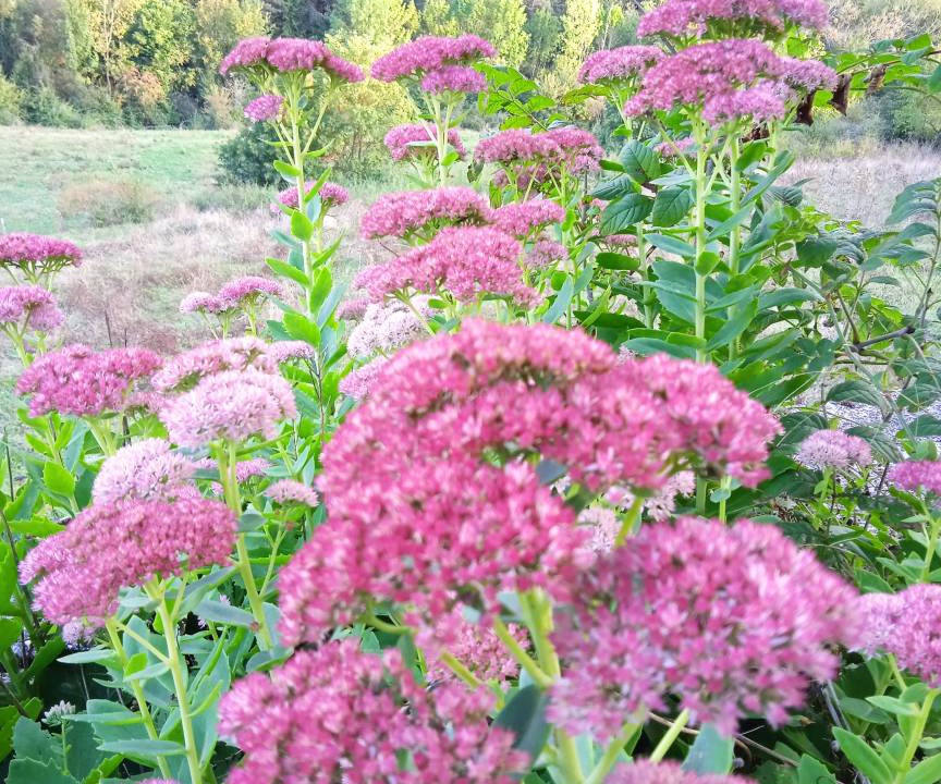 Photo of Outdoor in Esteribar