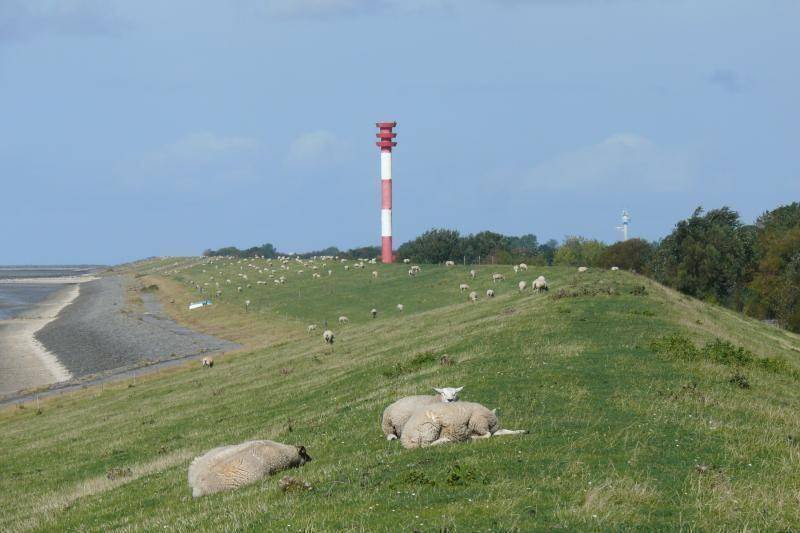 Photo of Others in Großwurden
