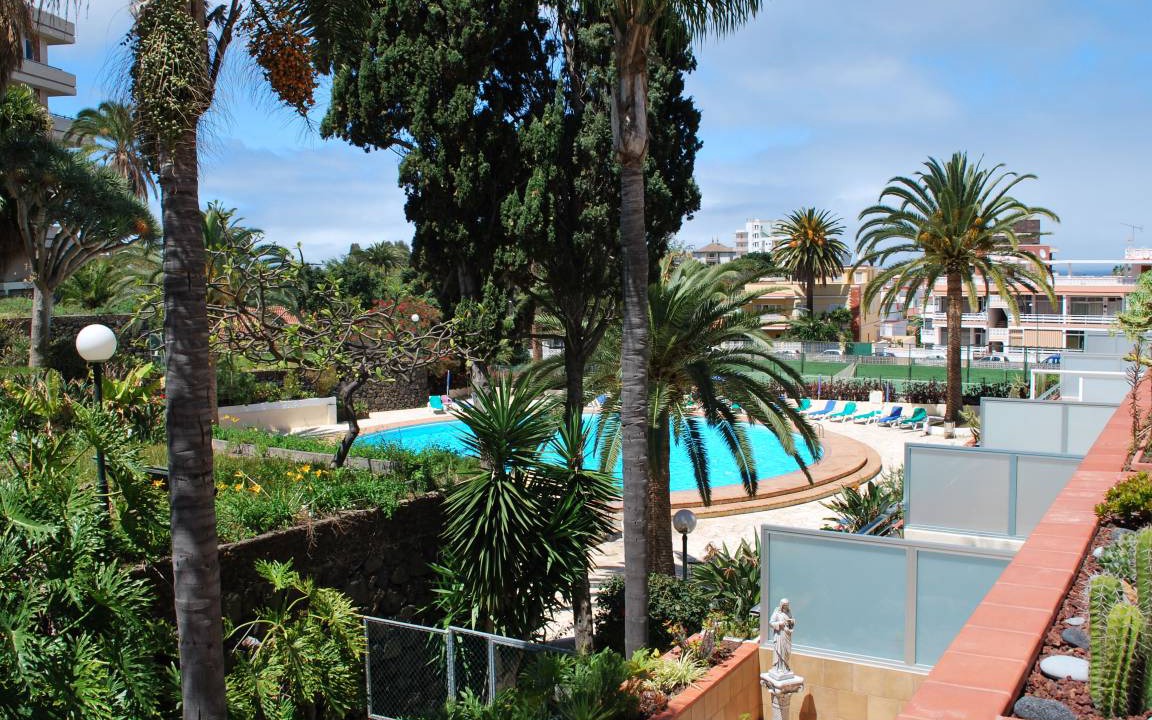 Photo of Others in Puerto de la Cruz