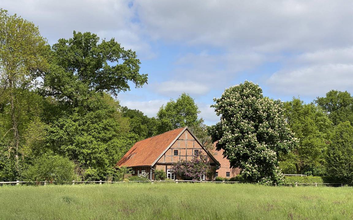 Photo of Others in Gilten