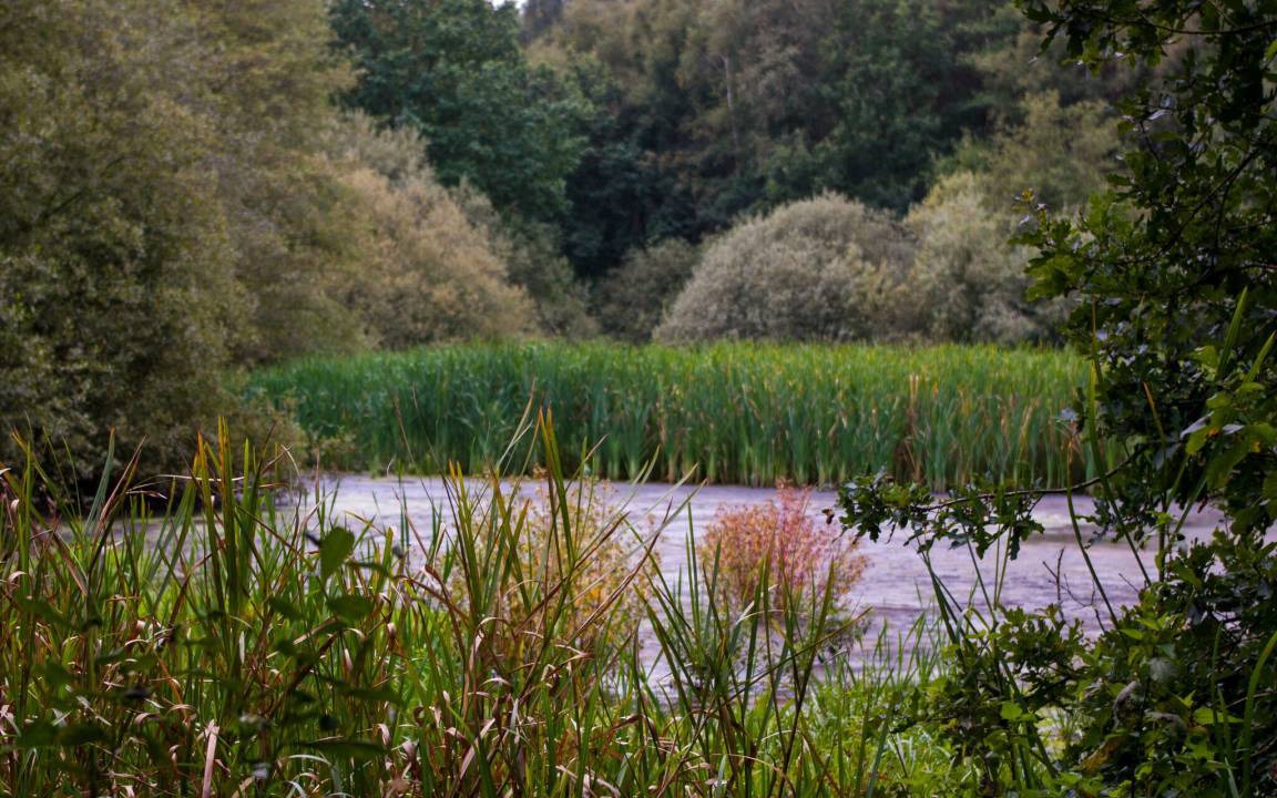Photo of Others in Petersfeld