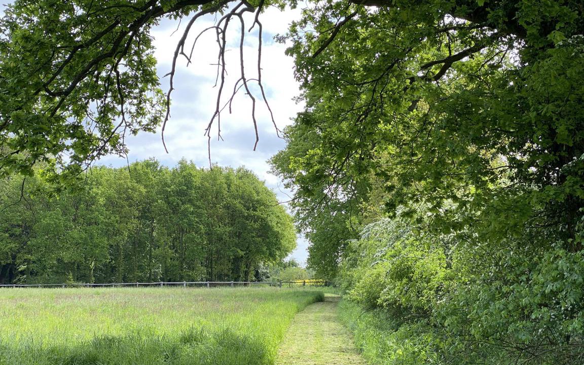 Photo of Others in Gilten