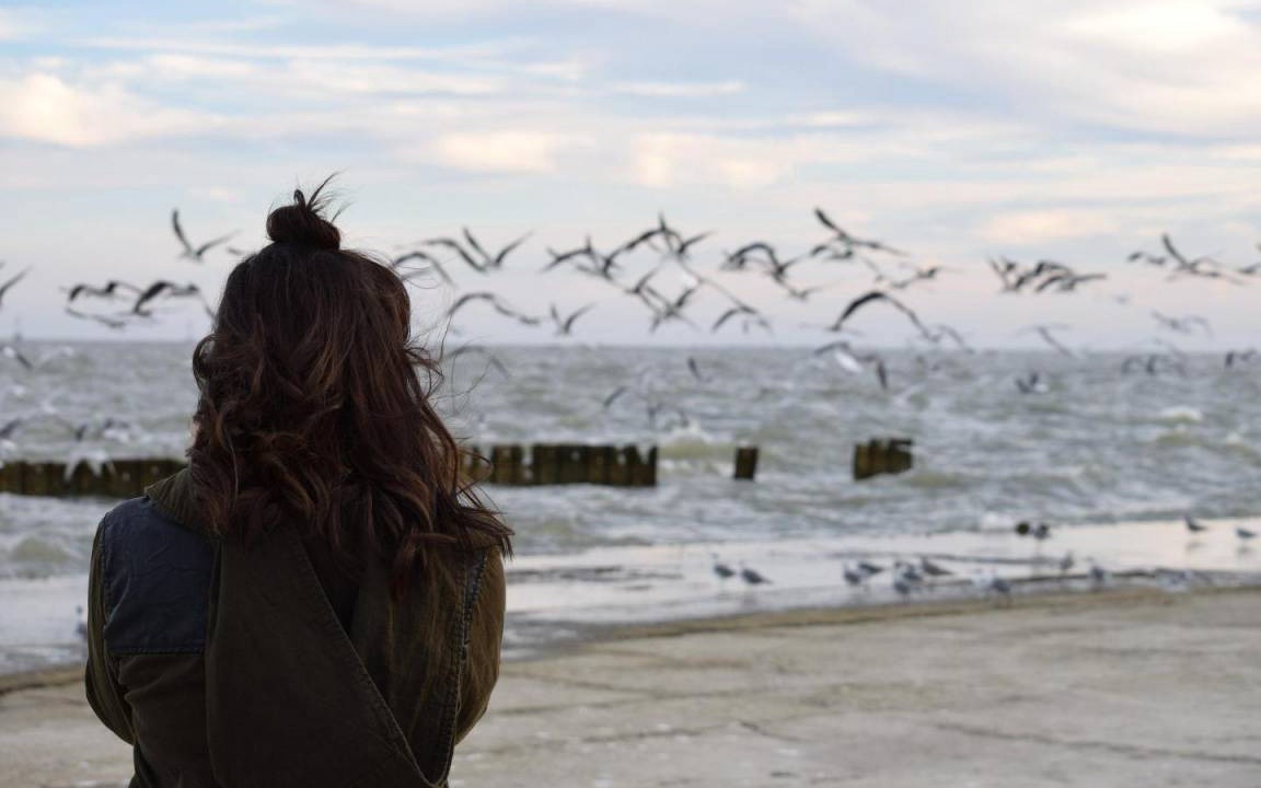 Photo of Others in Timmendorfer Strand