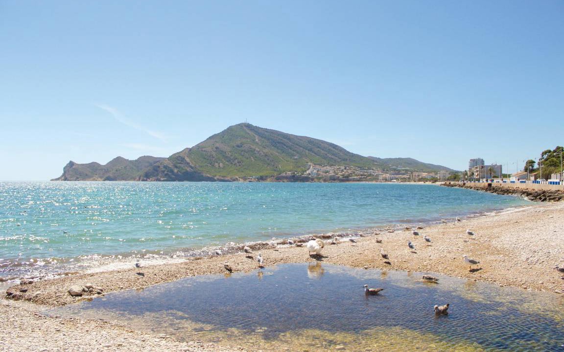 Photo of Others in El Albir
