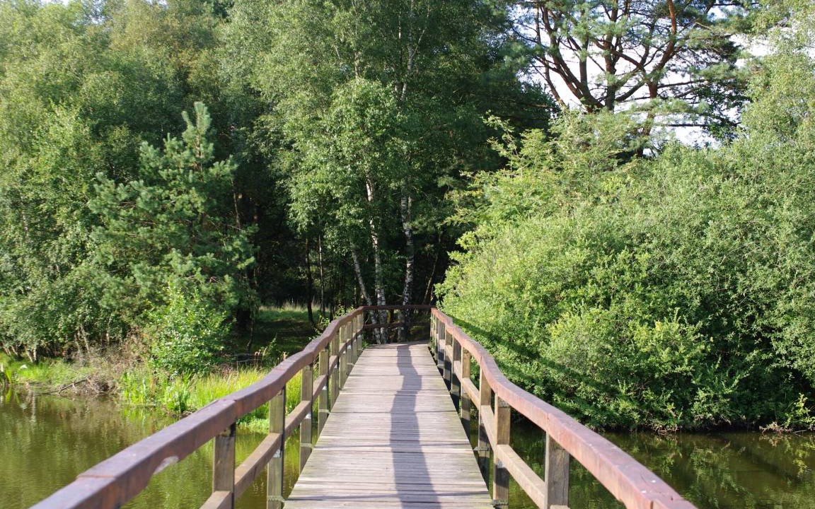Photo of Others in Petersfeld