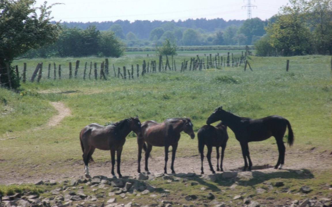 Photo of Others in Hodenhagen
