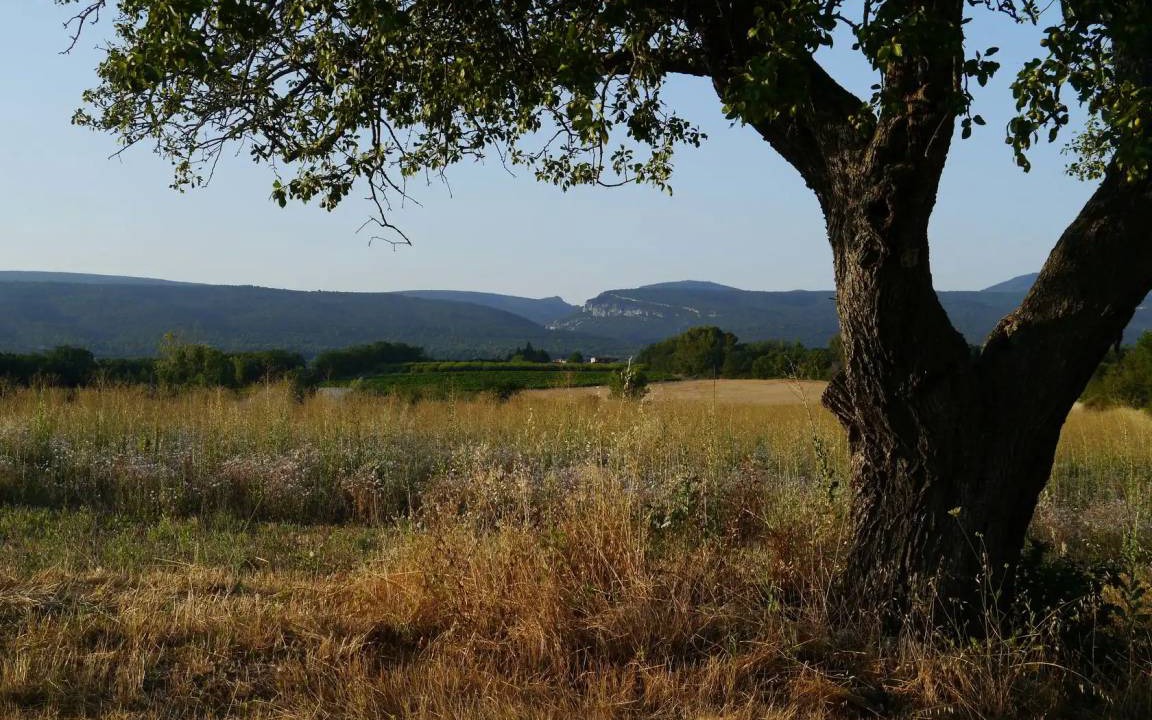 Photo of Others in Croagnes