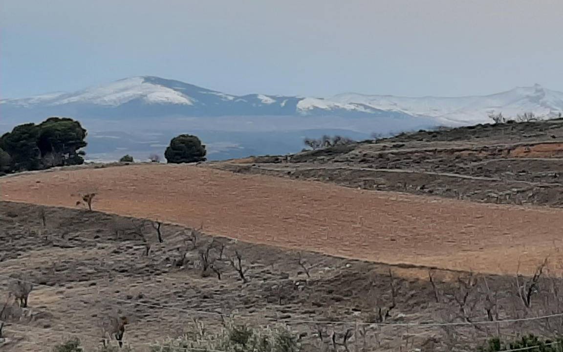 Photo of Others in Borja