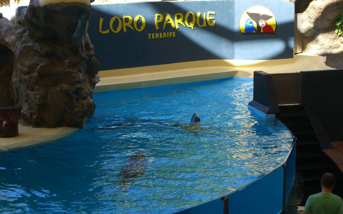 Photo of Others in Puerto de la Cruz