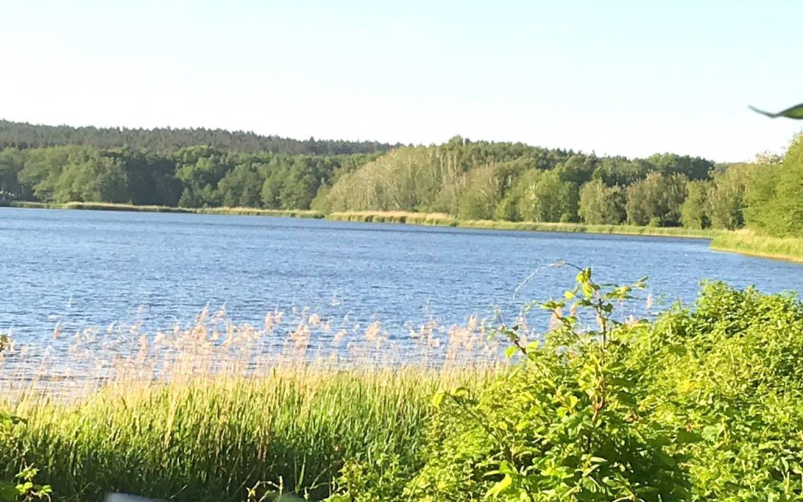 Photo of Others in Koelpinsee