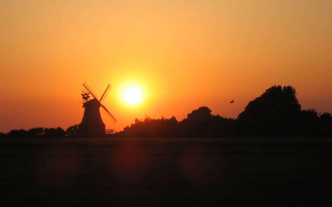 Photo of Others in Borgsum