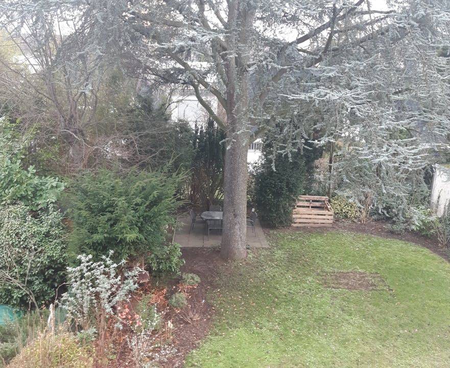 Photo of Others in Ginnheim