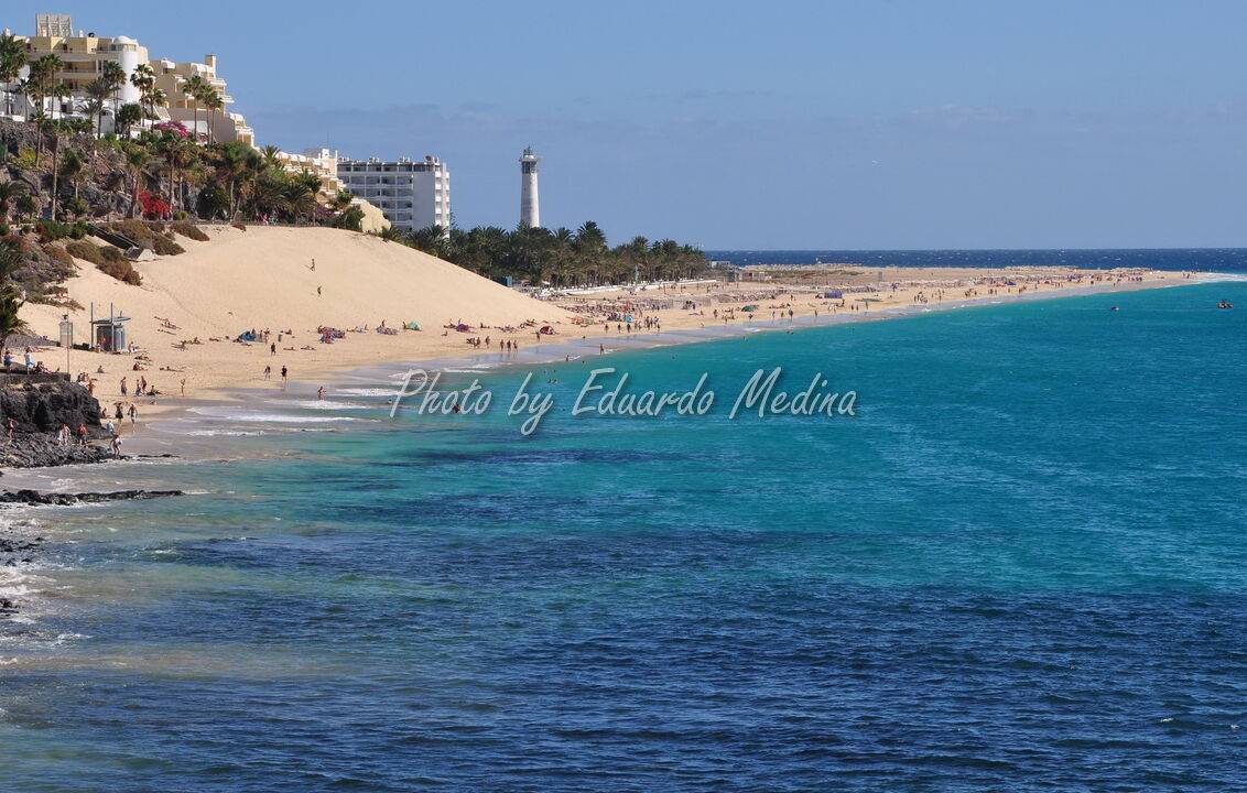 Photo of Others in Solana del Matorral