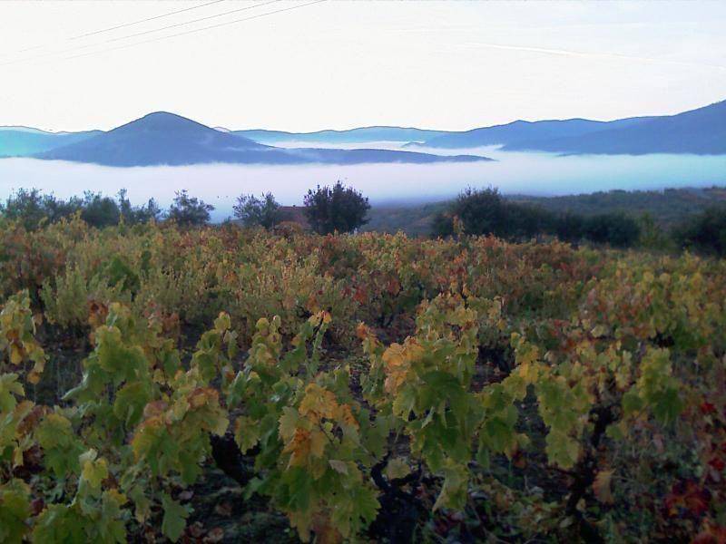 Photo of Others in Sotoserrano