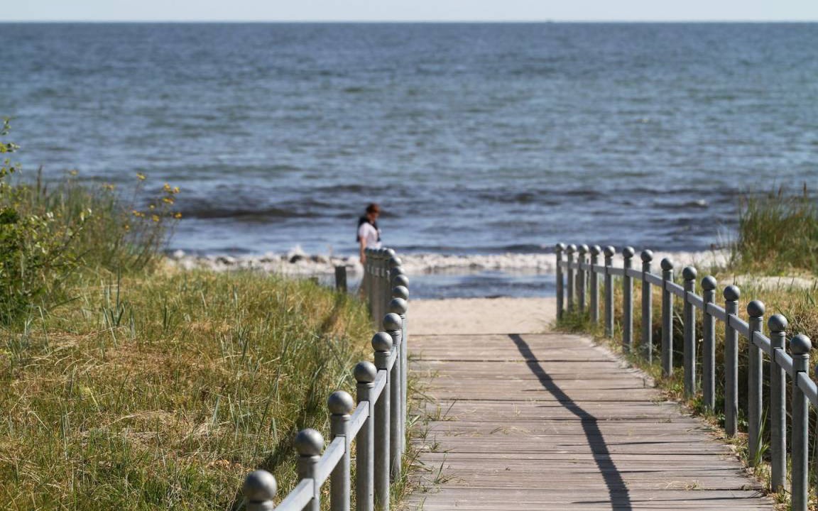 Photo of Others in Binz