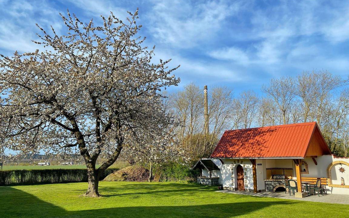 Photo of Others in Sassnitz
