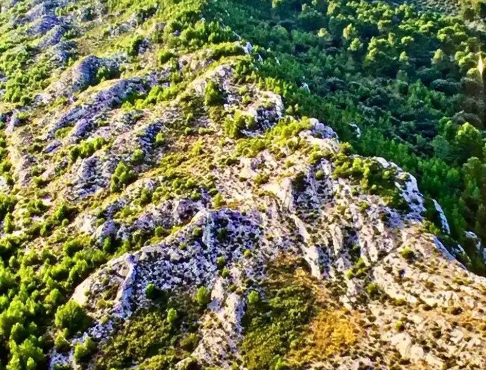 Photo of Others in Mouries