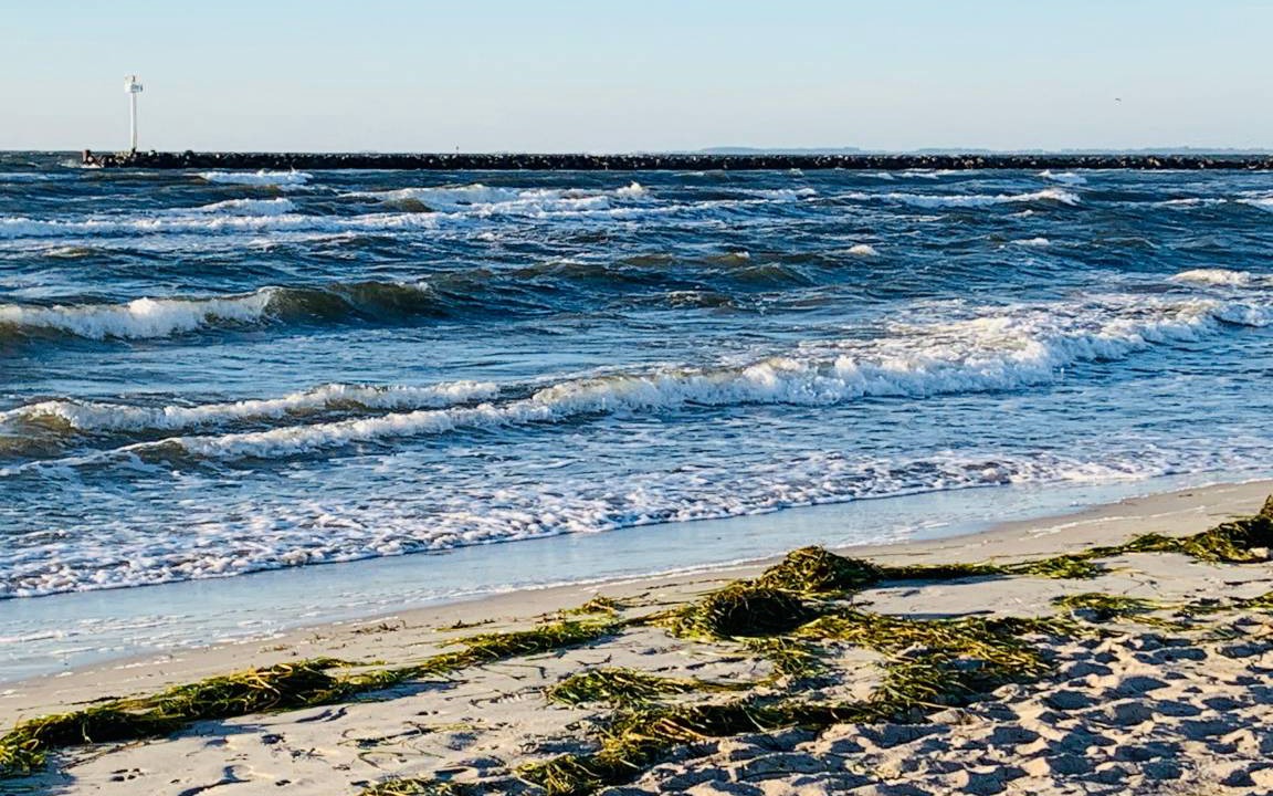 Photo of Others in Fehmarn