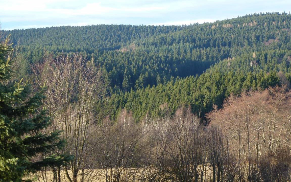 Photo of Others in Hohegeiß