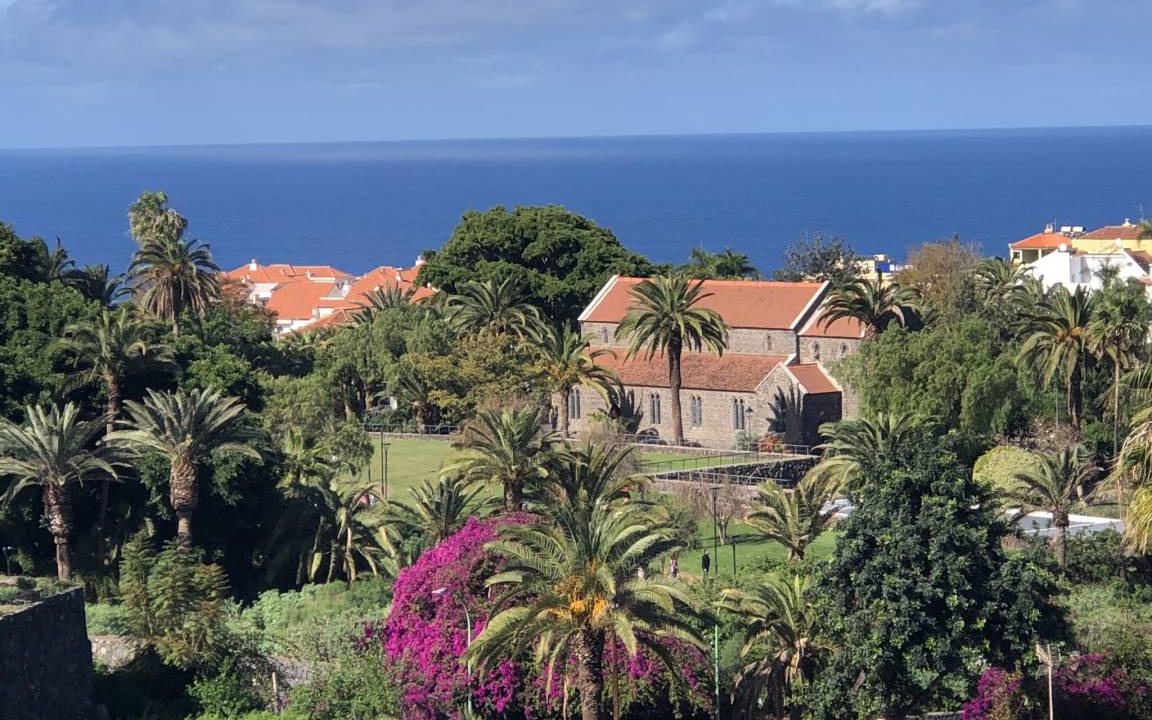 Photo of Others in Puerto de la Cruz