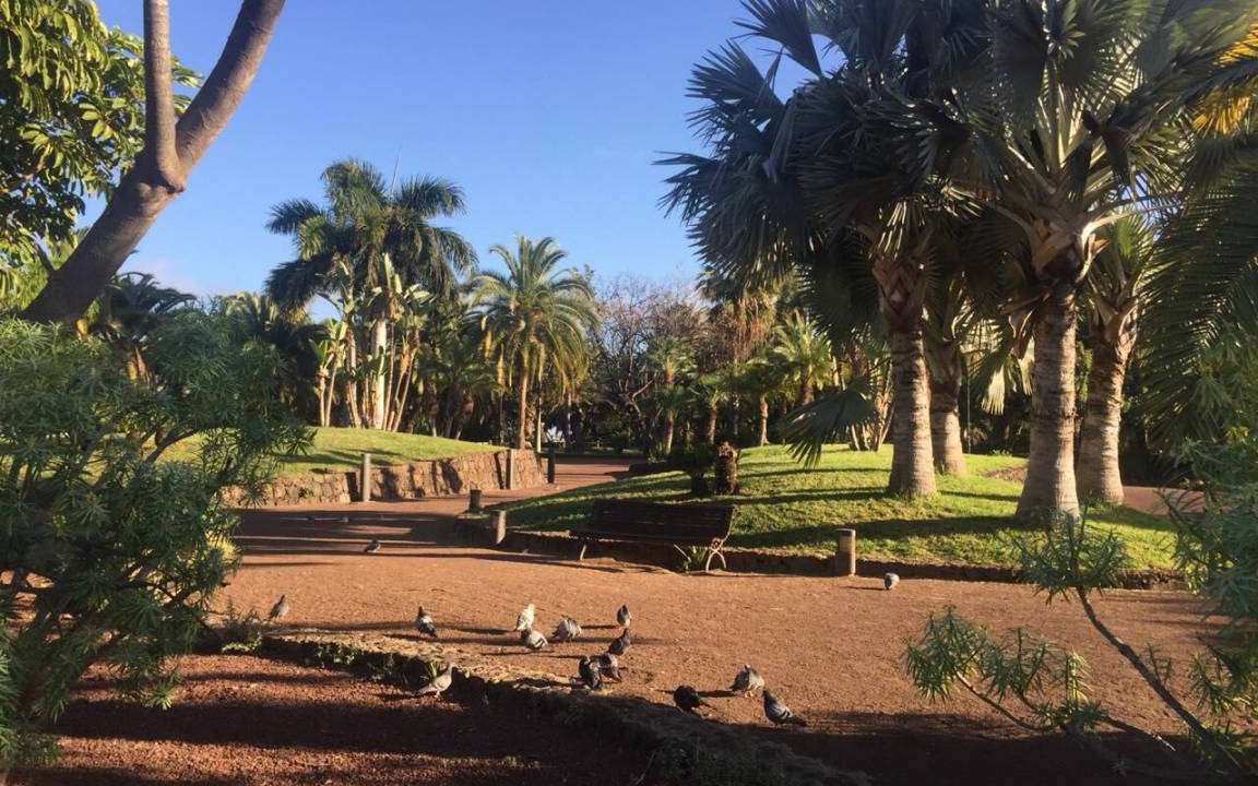 Photo of Others in Puerto de la Cruz